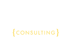 caught in the web consulting